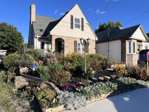 International Student Homestay