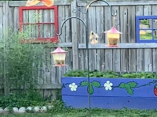 International Student Homestay