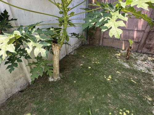 Shanti House
