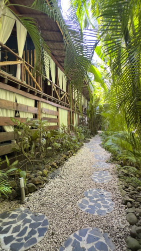 Santa Teresa Home - Gallery - 32