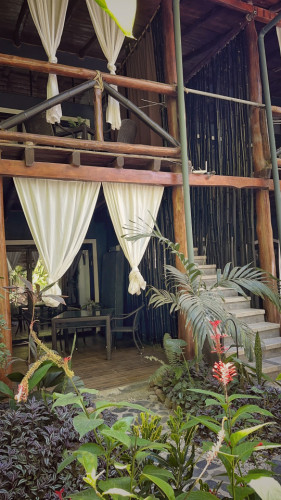 Jungle Oasis Coliving Retreat Steps from Stunning Santa Teresa Beach