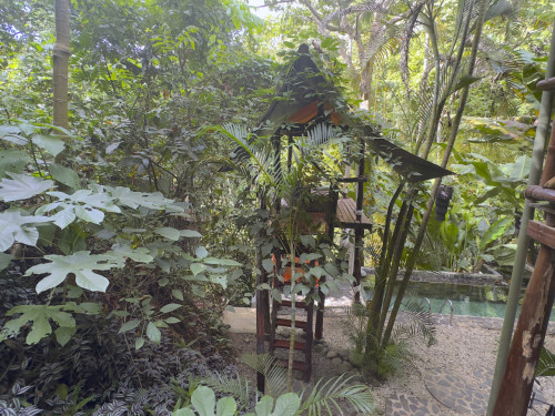 Santa Teresa Home - Gallery - 8