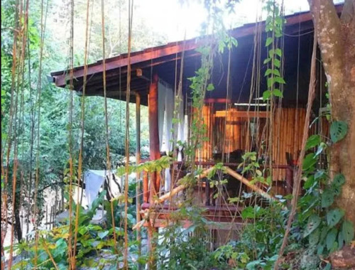 Jungle Oasis Coliving Retreat Steps from Stunning Santa Teresa Beach Apartment  - Gallery -  5