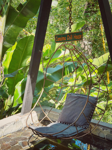 Jungle Oasis Coliving Retreat Steps from Stunning Santa Teresa Beach