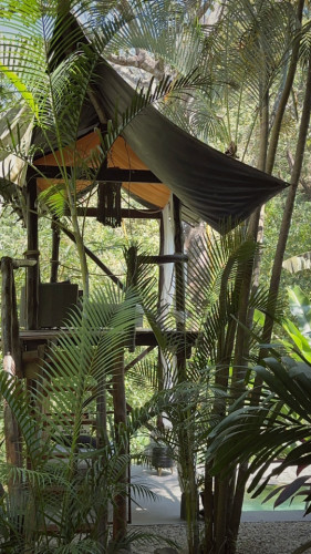 Jungle Oasis Coliving Retreat Steps from Stunning Santa Teresa Beach