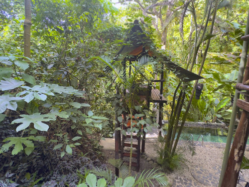 Santa Teresa Home - Gallery - 48