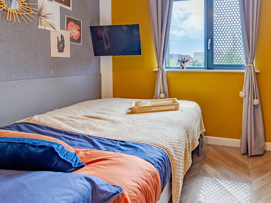  Classic Studio  -  Belaton House  - Gallery -  1