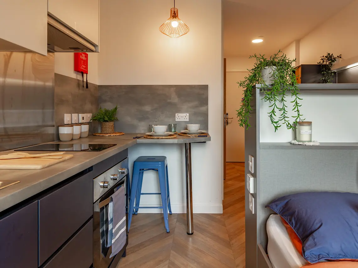 Classic Studio - Belaton House - Gallery - 3