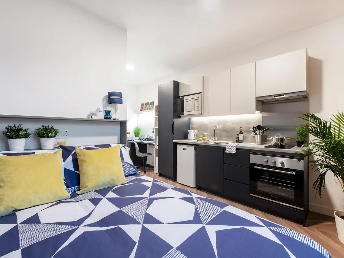 Standard Studio - Belaton House - Gallery - 1