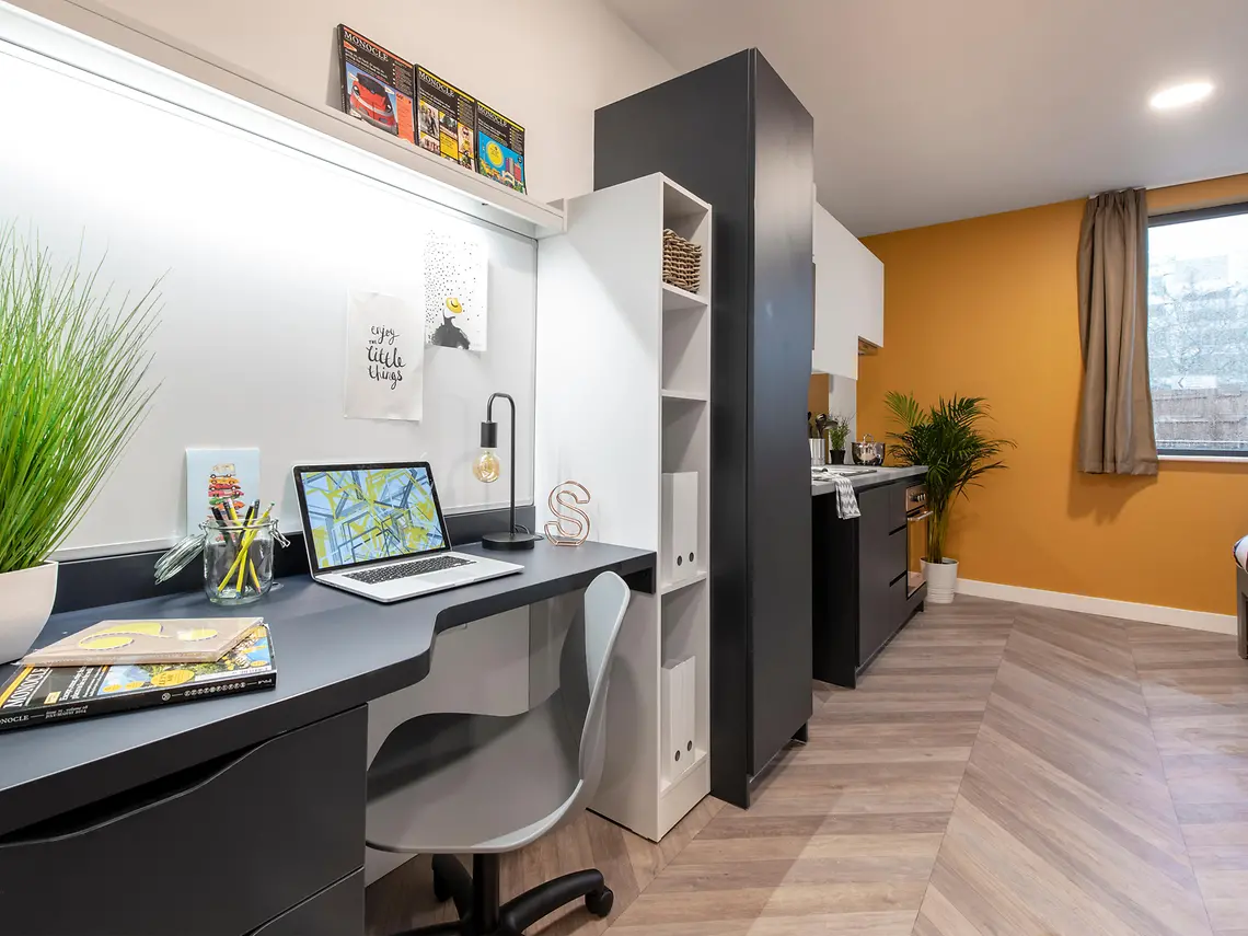  Standard Studio  -  Belaton House  - Gallery -  3