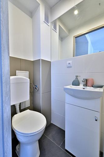 Very charming studio near Park Sielanka   - Gallery - 6