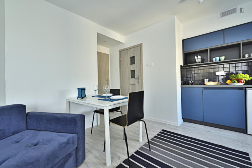 Very charming studio near Park Sielanka  