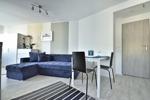 Very charming studio near Park Sielanka  