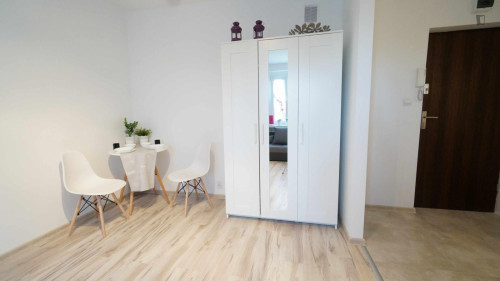 Inviting and big studio in Stare Bałuty