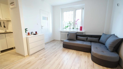 Inviting and big studio in Stare Bałuty