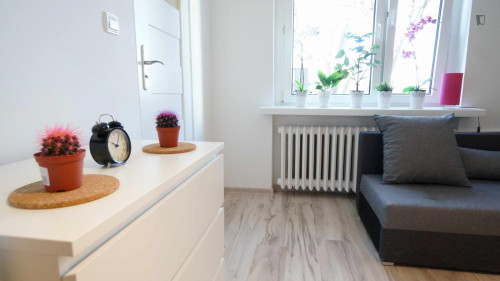 Inviting and big studio in Stare Bałuty