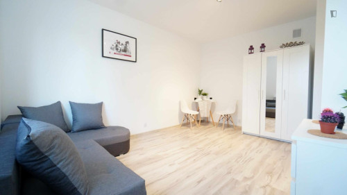 Inviting and big studio in Stare Bałuty