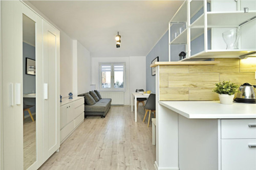 Stupendous studio in Śródmieście