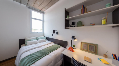 Neat single ensuite bedroom near Pontifícia Universidade Católica de Campinas - Gallery - 12