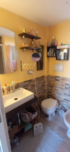 Double bedroom, with private bathroom, in 2-bedroom apartment