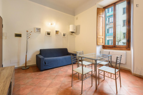 Pleasant 1-bedroom apartment in Pignone area