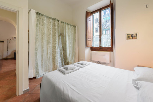 Pleasant 1-bedroom apartment in Pignone area