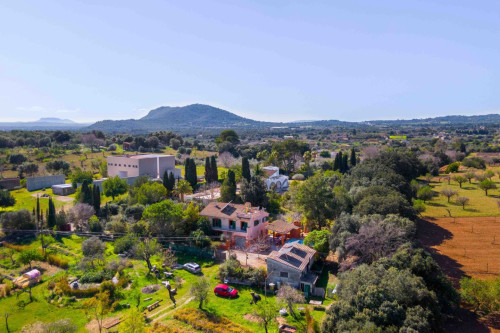 Poligono Home