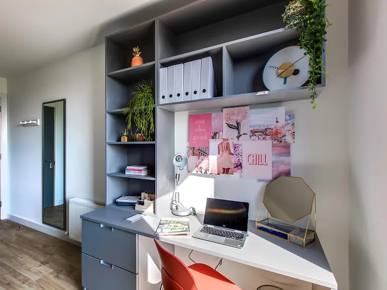  Premium En Suite  -  Lee Point  - Gallery -  2