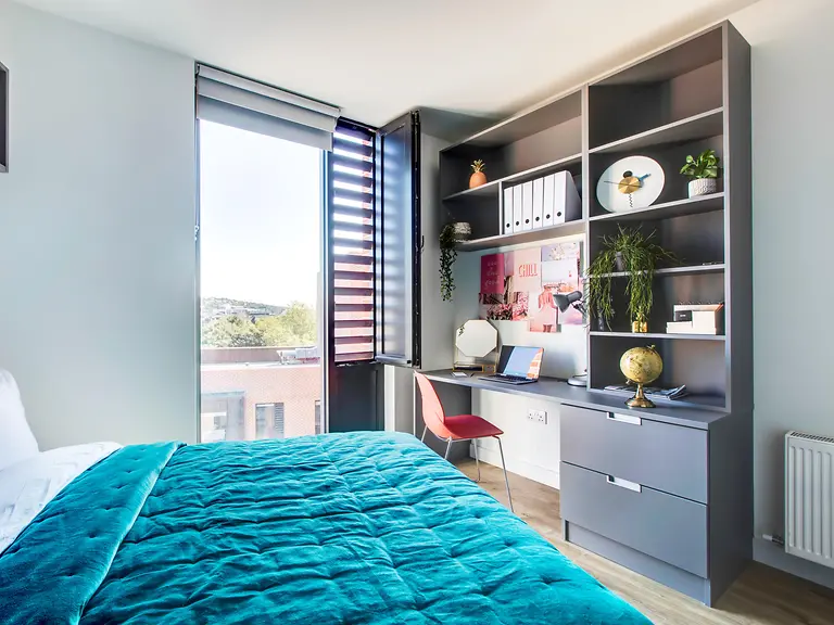  Classic Plus En Suite  -  Lee Point  - Gallery -  2