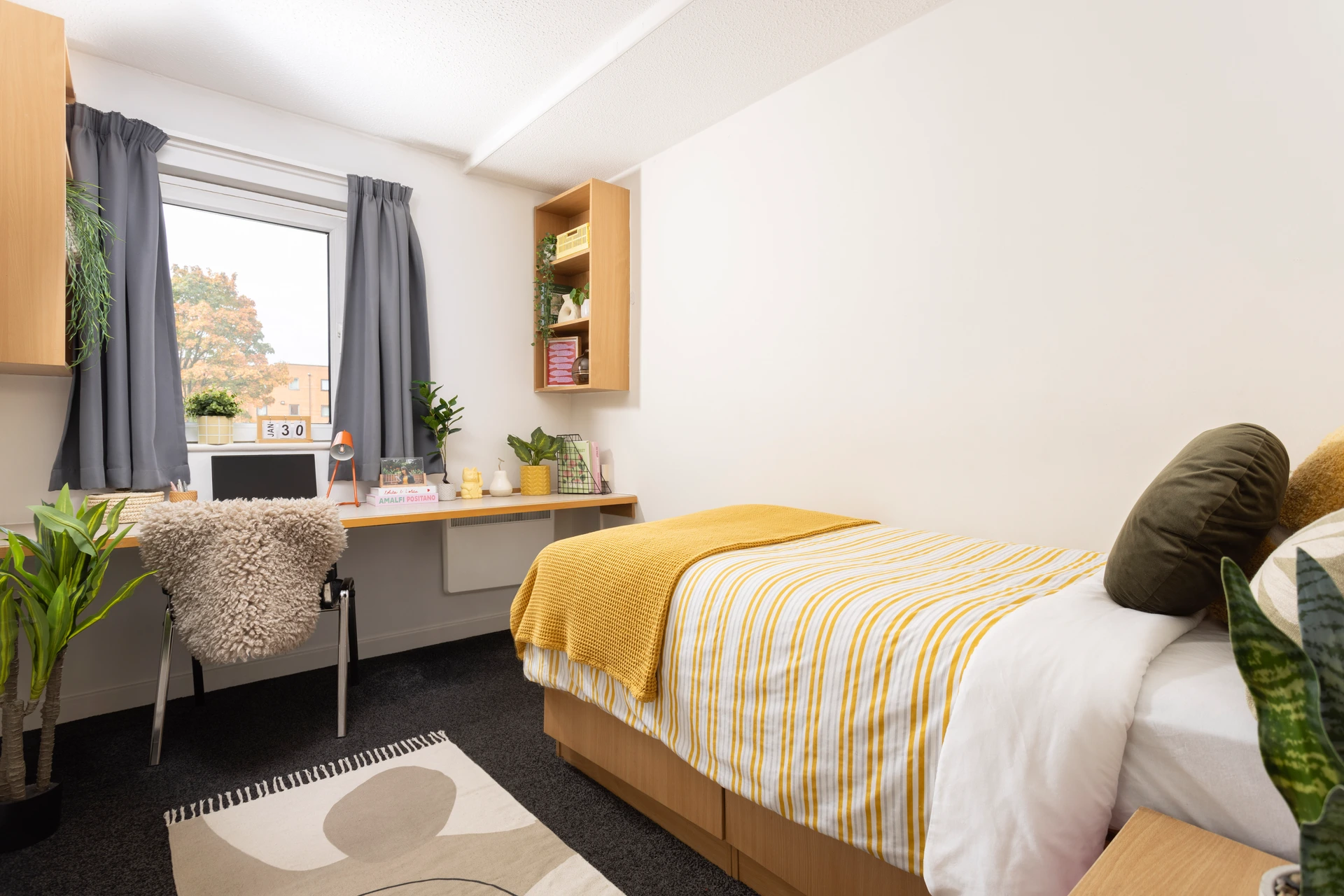 Large Standard Single En-Suite - Rosamond House - Gallery - 1