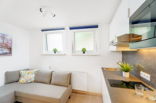 Charismatic studio near the Kačerov metro