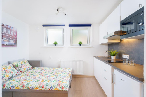 Charismatic studio near the Kačerov metro