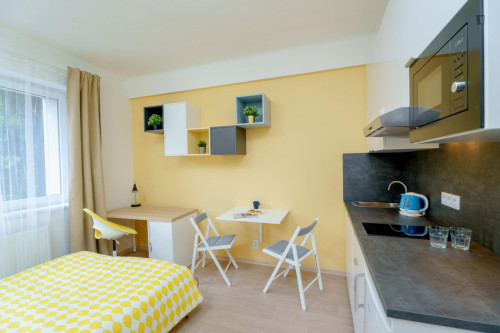 Luminous studio near the Kačerov metro station