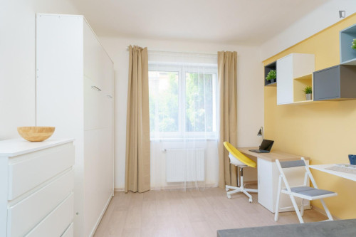 Luminous studio near the Kačerov metro station