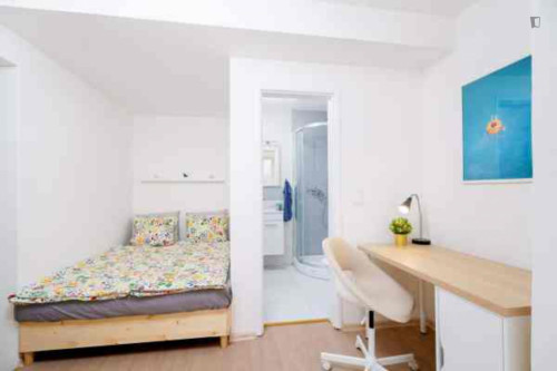 Snug studio in Kačerov