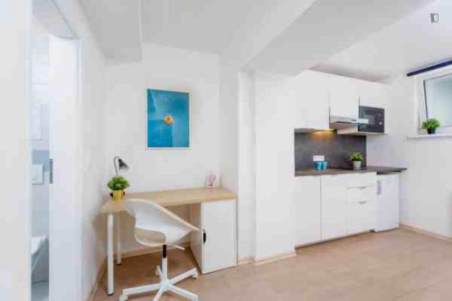 Snug studio in Kačerov