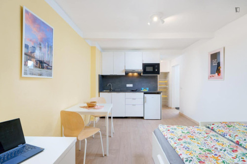 Elegant studio near the Kačerov metro