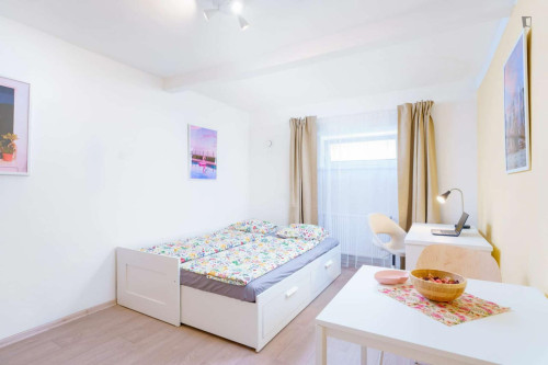 Elegant studio near the Kačerov metro