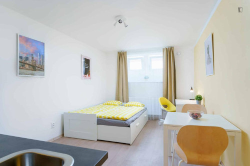 Charming studio near thew Kačerov train station