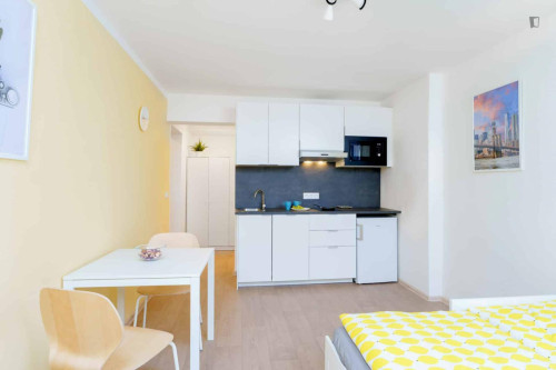 Charming studio near thew Kačerov train station