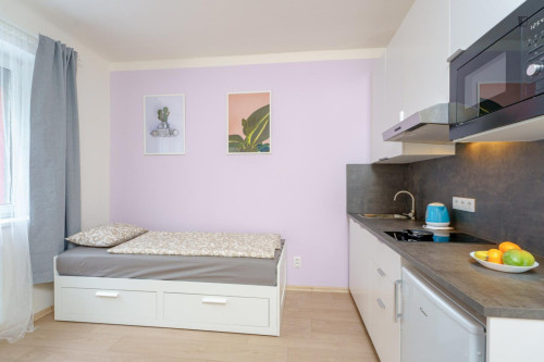 Welcoming studio in Kačerov