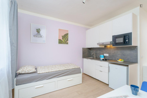 Welcoming studio in Kačerov
