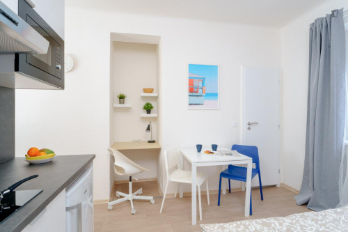 Welcoming studio in Kačerov