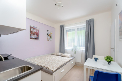 Attractive studio in Kačerov