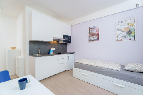 Attractive studio in Kačerov