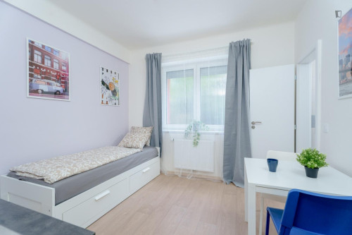 Attractive studio in Kačerov