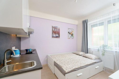 Attractive studio in Kačerov