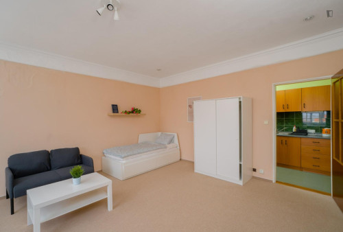 Very inviting and spacious 1-bedroom flat, in Jezerka