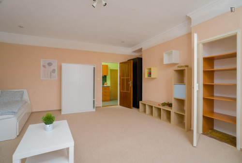 Very inviting and spacious 1-bedroom flat, in Jezerka