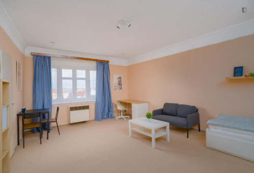 Very inviting and spacious 1-bedroom flat, in Jezerka